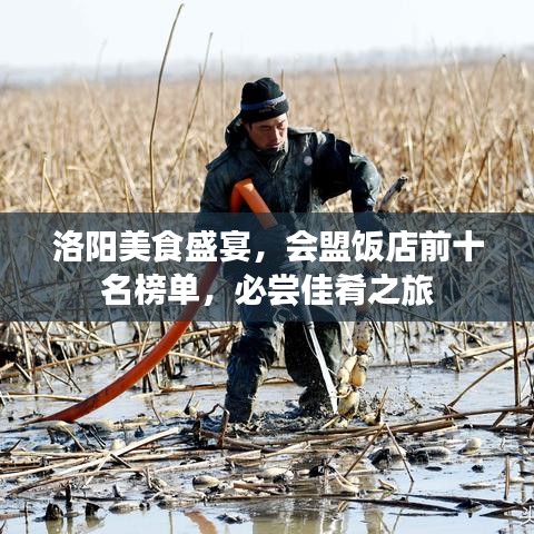 洛阳美食盛宴，会盟饭店前十名榜单，必尝佳肴之旅