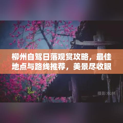 柳州自驾日落观赏攻略，最佳地点与路线推荐，美景尽收眼底
