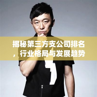 揭秘第三方支公司排名，行业格局与发展趋势重磅榜单揭晓！