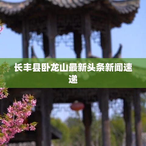 长丰县卧龙山最新头条新闻速递