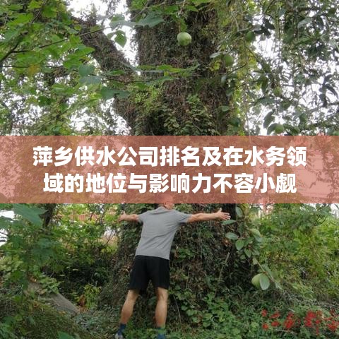 萍乡供水公司排名及在水务领域的地位与影响力不容小觑