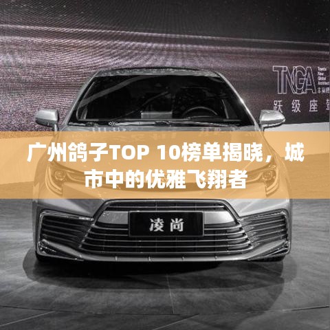 广州鸽子TOP 10榜单揭晓，城市中的优雅飞翔者