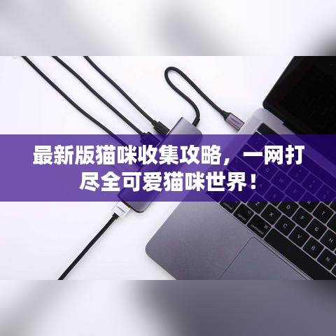 最新版猫咪收集攻略，一网打尽全可爱猫咪世界！