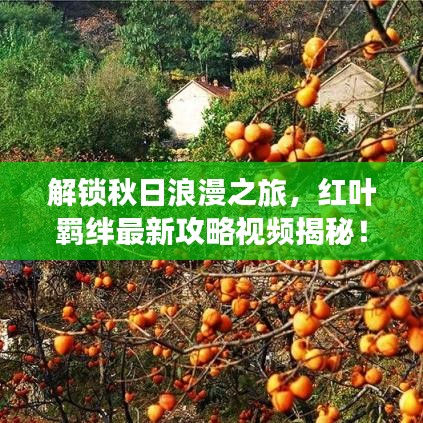 解锁秋日浪漫之旅，红叶羁绊最新攻略视频揭秘！