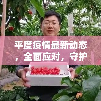 平度疫情最新动态，全面应对，守护家园安宁