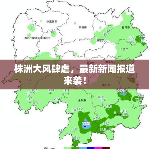 株洲大风肆虐，最新新闻报道来袭！