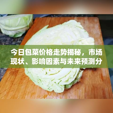今日包菜价格走势揭秘，市场现状、影响因素与未来预测分析