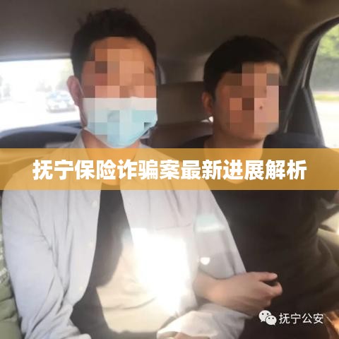 抚宁保险诈骗案最新进展解析
