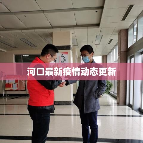 河口最新疫情动态更新