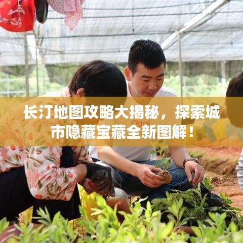 长汀地图攻略大揭秘，探索城市隐藏宝藏全新图解！