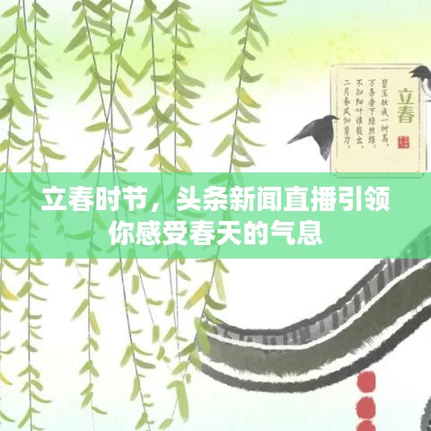 立春时节，头条新闻直播引领你感受春天的气息