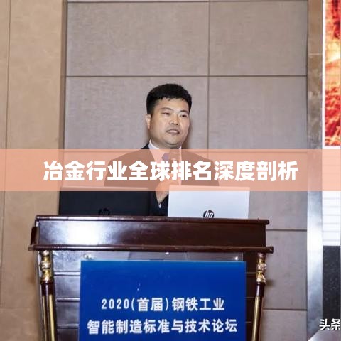 冶金行业全球排名深度剖析