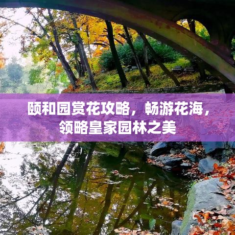 颐和园赏花攻略，畅游花海，领略皇家园林之美