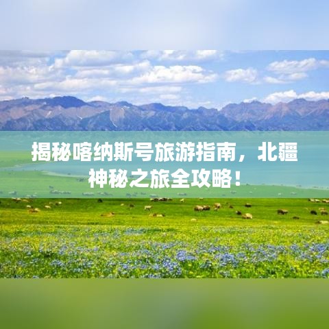 揭秘喀纳斯号旅游指南，北疆神秘之旅全攻略！