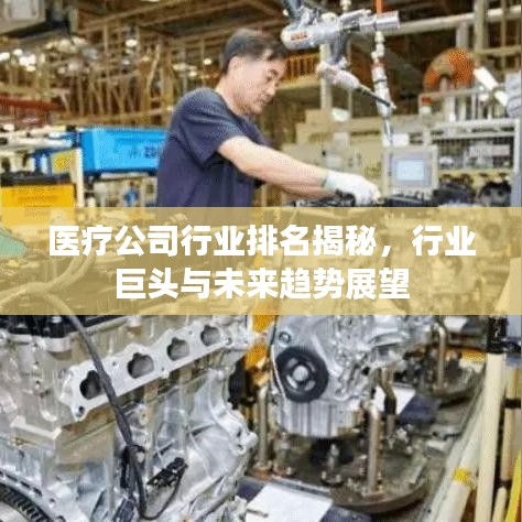 医疗公司行业排名揭秘，行业巨头与未来趋势展望