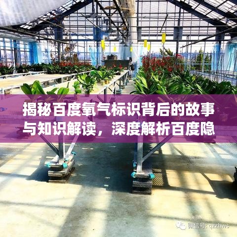 揭秘百度氧气标识背后的故事与知识解读，深度解析百度隐藏知识库！