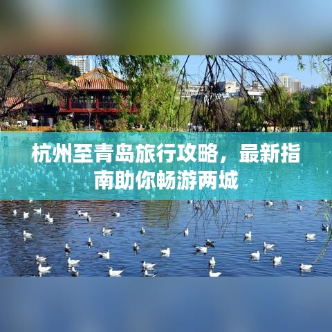 杭州至青岛旅行攻略，最新指南助你畅游两城
