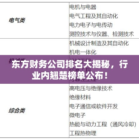 东方财务公司排名大揭秘，行业内翘楚榜单公布！