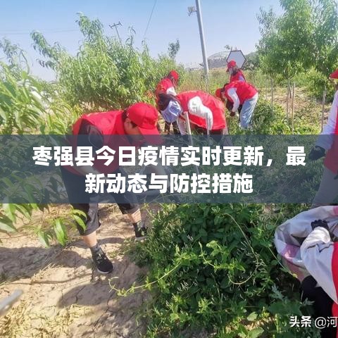 枣强县今日疫情实时更新，最新动态与防控措施