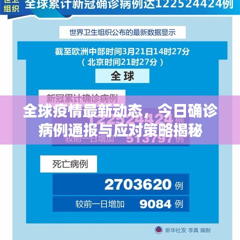 全球疫情最新动态，今日确诊病例通报与应对策略揭秘