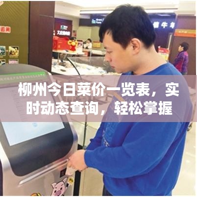 柳州今日菜价一览表，实时动态查询，轻松掌握生活成本