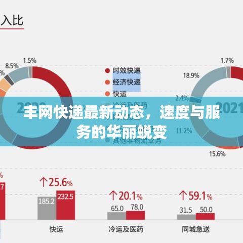 丰网快递最新动态，速度与服务的华丽蜕变
