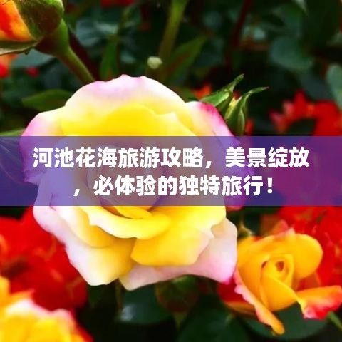 河池花海旅游攻略，美景绽放，必体验的独特旅行！