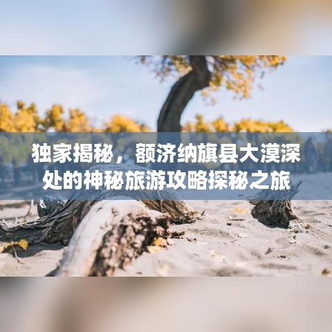 独家揭秘，额济纳旗县大漠深处的神秘旅游攻略探秘之旅