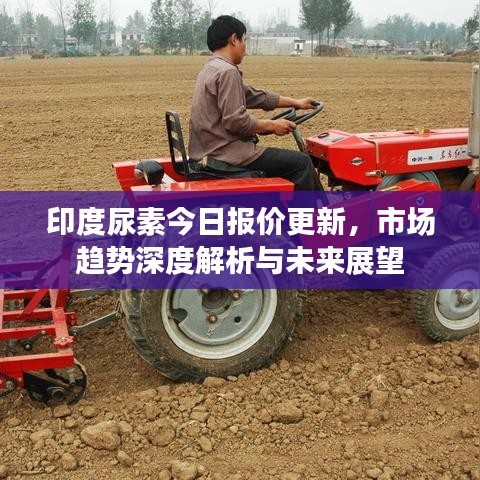 印度尿素今日报价更新，市场趋势深度解析与未来展望