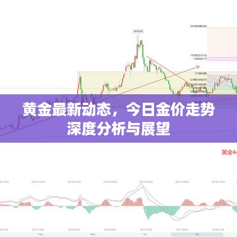 黄金最新动态，今日金价走势深度分析与展望