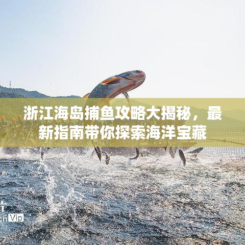 浙江海岛捕鱼攻略大揭秘，最新指南带你探索海洋宝藏