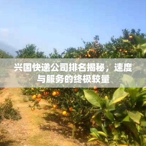 兴国快递公司排名揭秘，速度与服务的终极较量