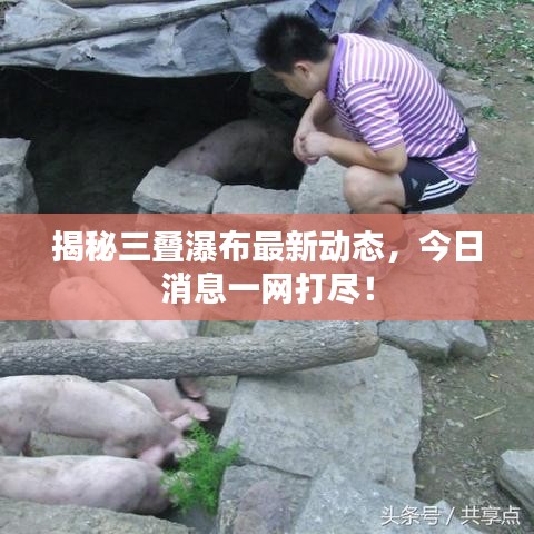揭秘三叠瀑布最新动态，今日消息一网打尽！