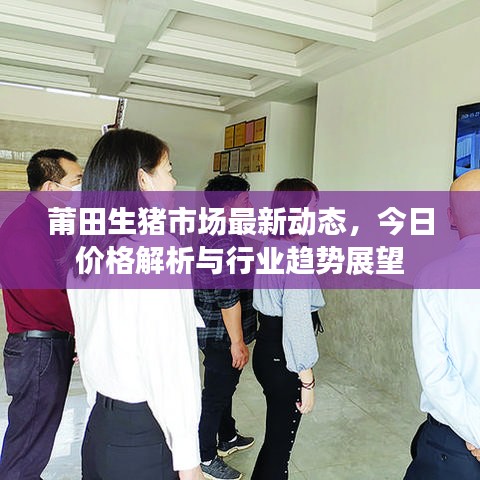 莆田生猪市场最新动态，今日价格解析与行业趋势展望
