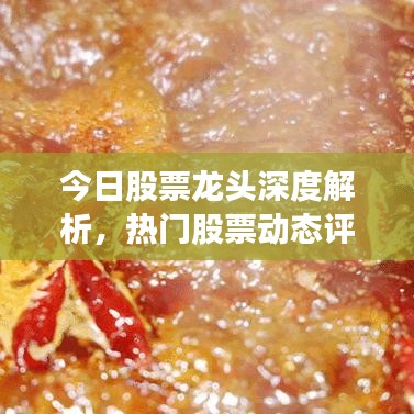 今日股票龙头深度解析，热门股票动态评论速递