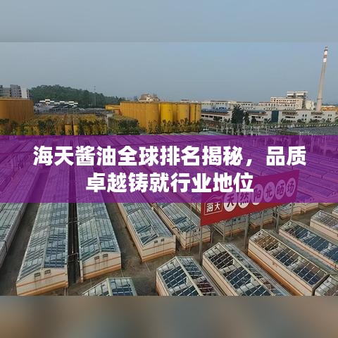 海天酱油全球排名揭秘，品质卓越铸就行业地位
