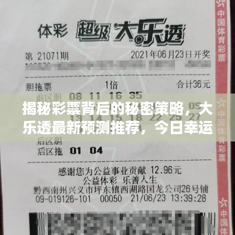 揭秘彩票背后的秘密策略，大乐透最新预测推荐，今日幸运号码大揭秘