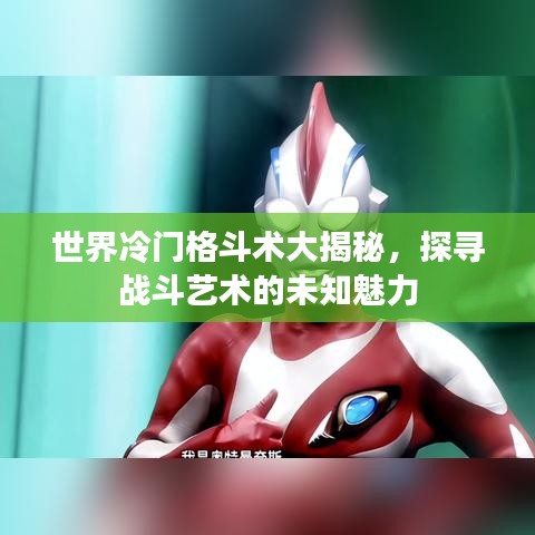 世界冷门格斗术大揭秘，探寻战斗艺术的未知魅力