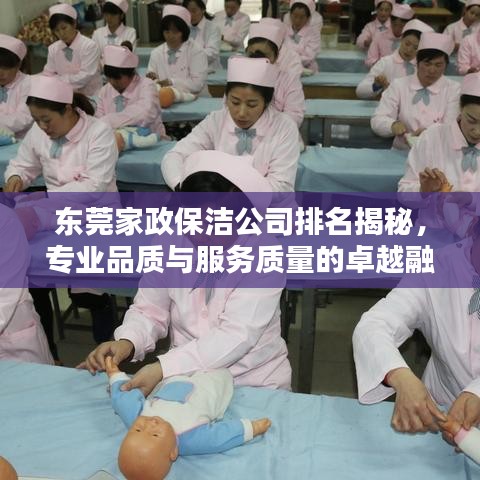 东莞家政保洁公司排名揭秘，专业品质与服务质量的卓越融合