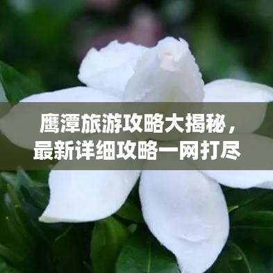 鹰潭旅游攻略大揭秘，最新详细攻略一网打尽！