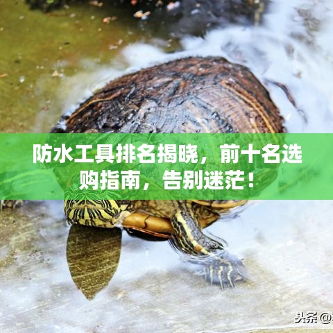 防水工具排名揭晓，前十名选购指南，告别迷茫！