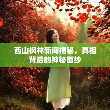 西山枫林新闻揭秘，真相背后的神秘面纱