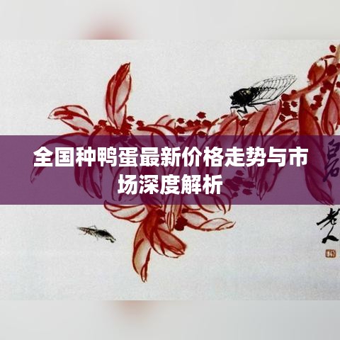 全国种鸭蛋最新价格走势与市场深度解析