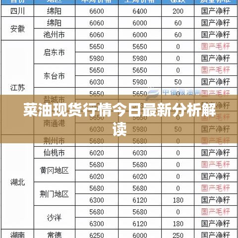 菜油现货行情今日最新分析解读