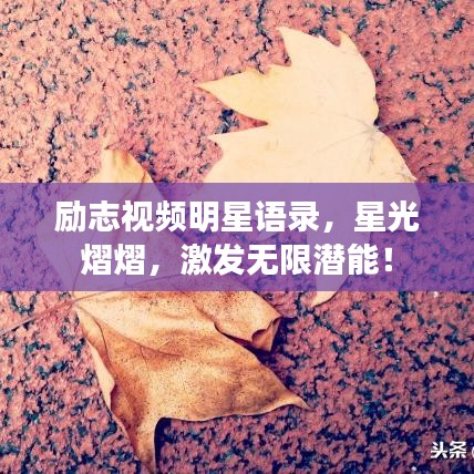 励志视频明星语录，星光熠熠，激发无限潜能！