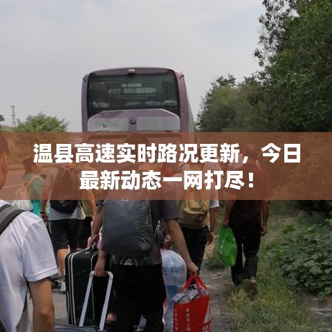 温县高速实时路况更新，今日最新动态一网打尽！