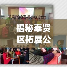 揭秘奉贤区拓展公司稳居榜首的成功秘诀！
