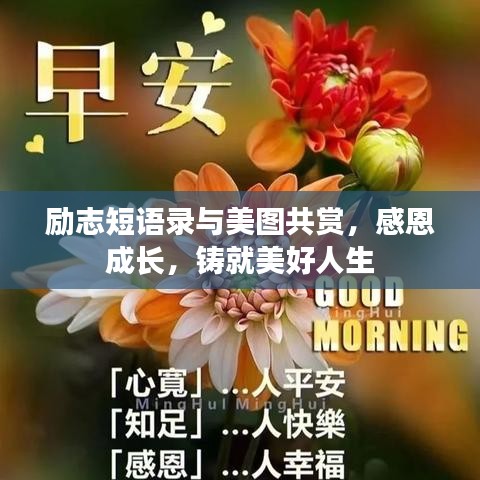 励志短语录与美图共赏，感恩成长，铸就美好人生