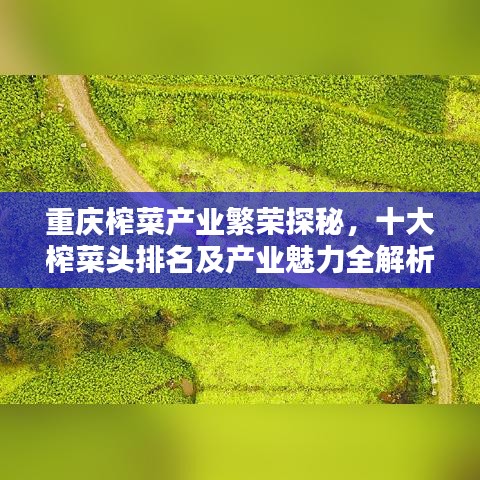 重庆榨菜产业繁荣探秘，十大榨菜头排名及产业魅力全解析