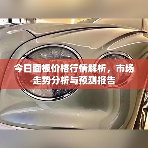 今日面板价格行情解析，市场走势分析与预测报告